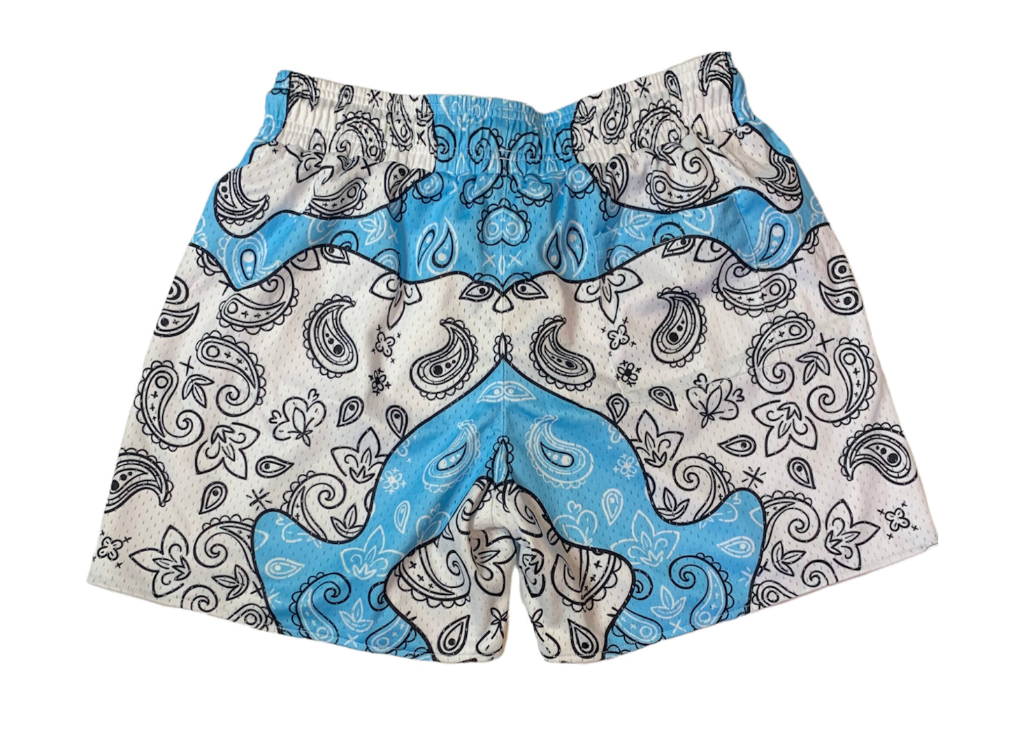 Paisley Mix Up Shorts