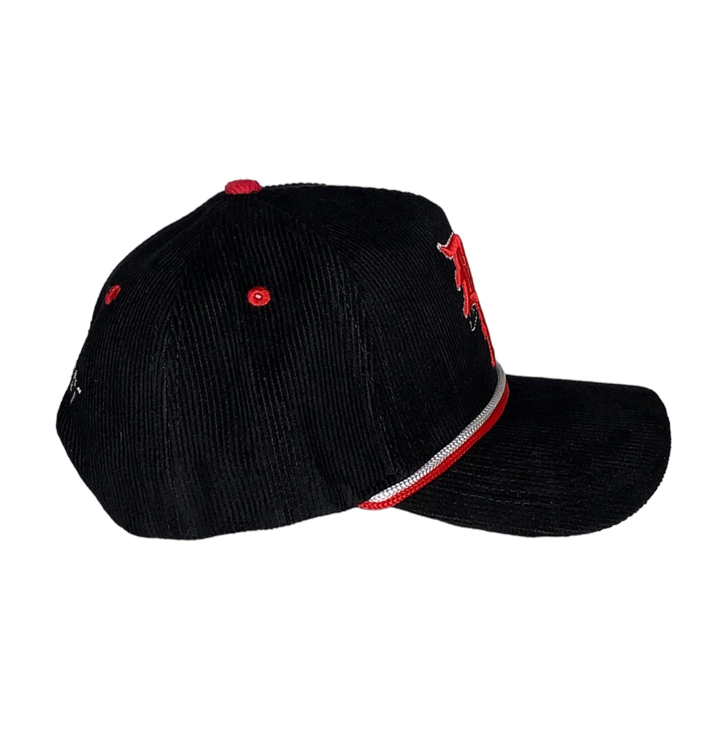 The World Is Yours Hat