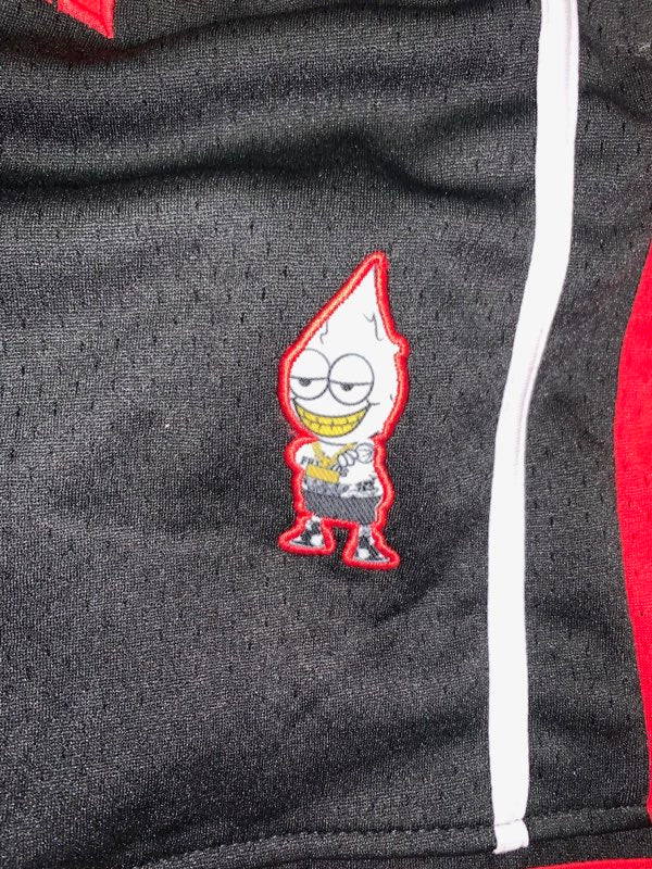 Fly Boy Baller Shorts ( Bulls Edition)